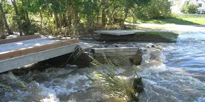 A flooded grassy area with trees in the background.