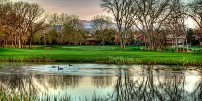 Several birds in a pond with grass, trees, and mountains in the background.